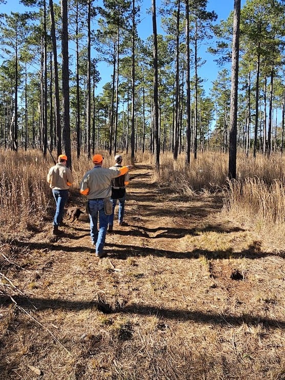 Three hunters walk along a dirt path through a pine forest and dry grass.