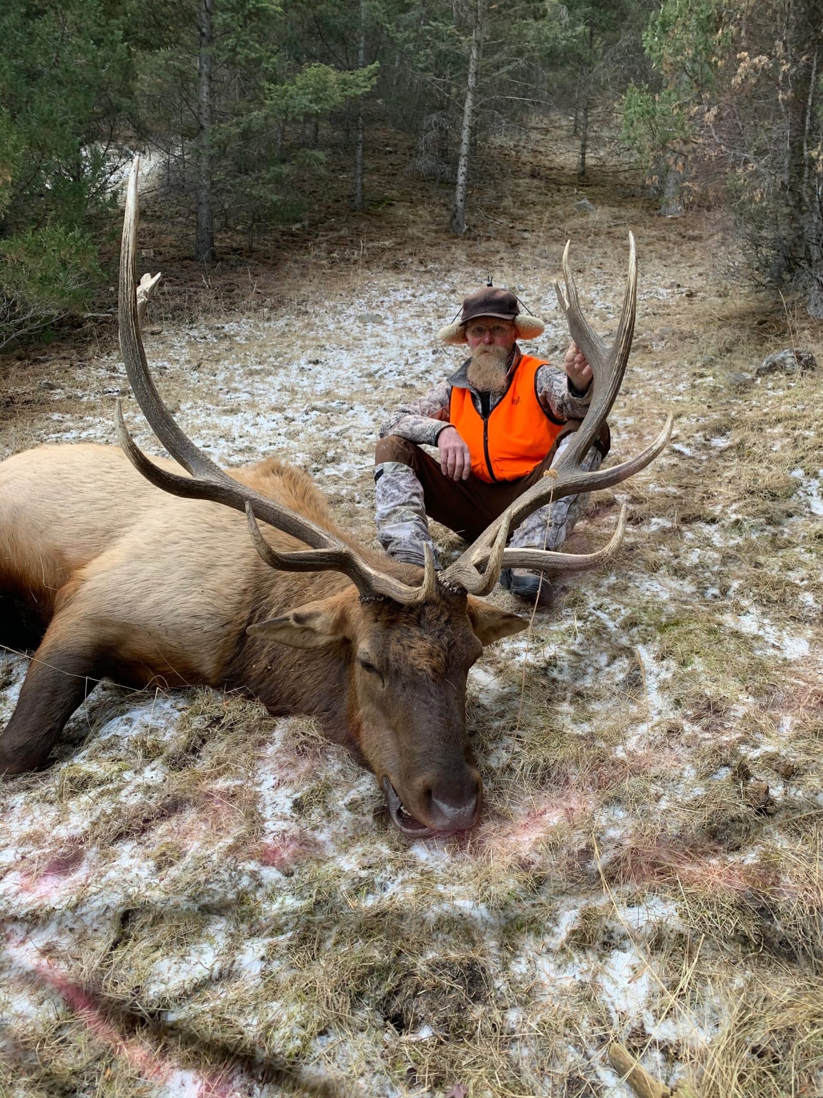 A hunter with a long white beard and an orange vest poses with a harvested elk in a snowy, wooded area.