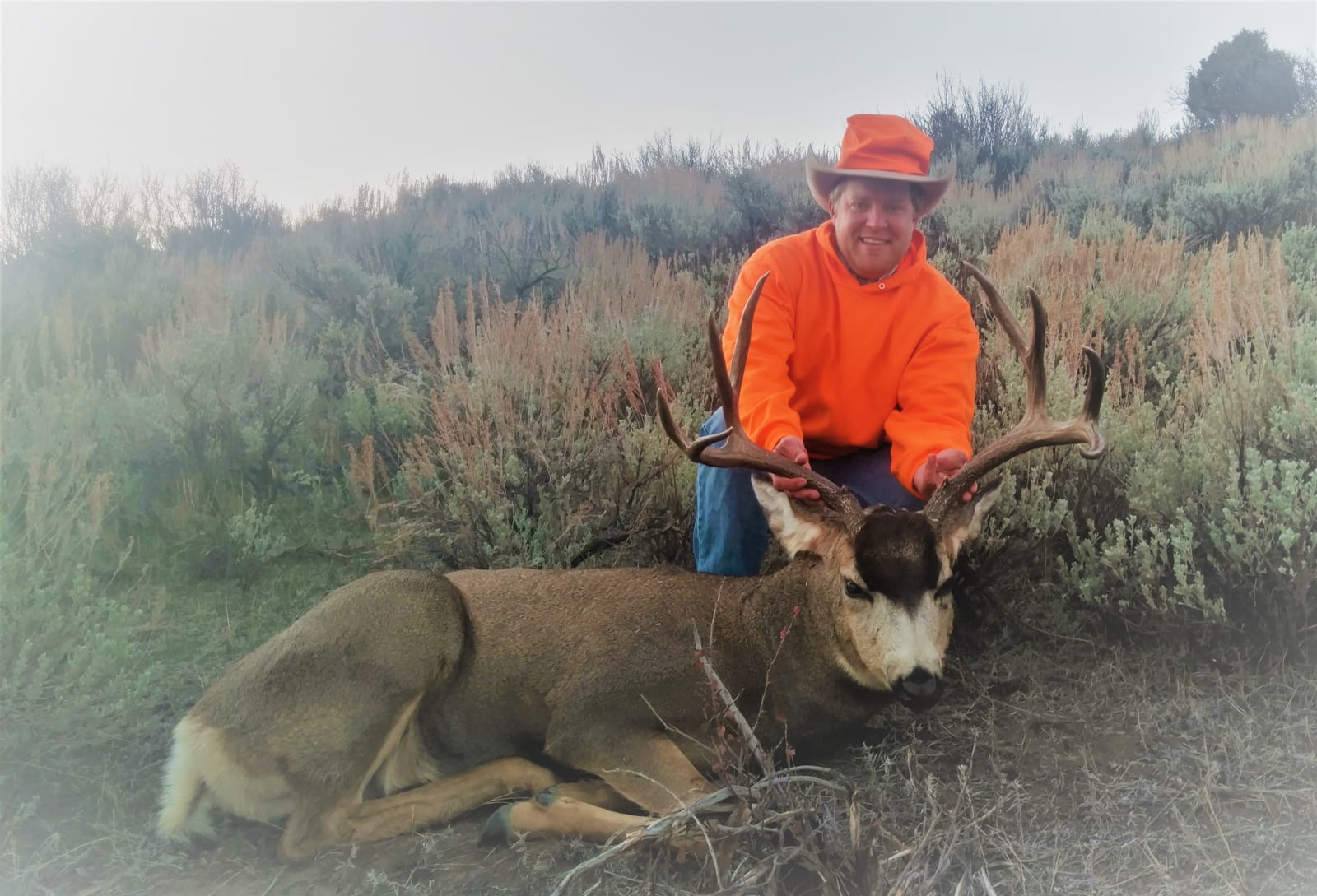 A man in an orange shirt and hat poses with a harvested mule deer in a brushy field.