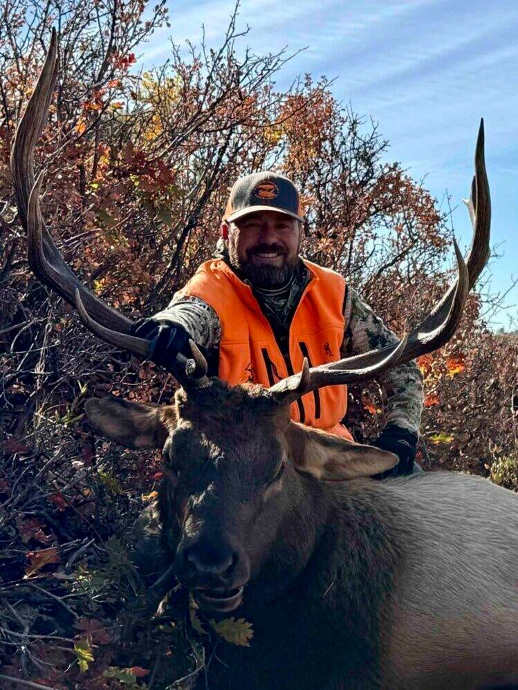 A hunter in an orange vest and camouflage poses with a harvested elk.