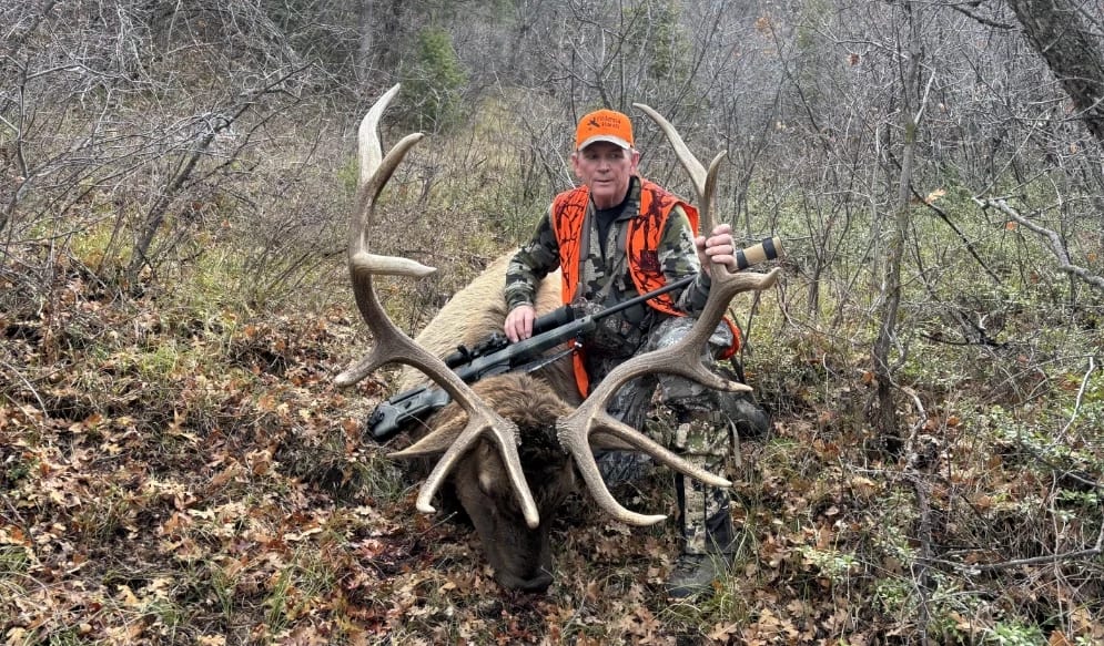 A hunter in an orange vest poses with a harvested elk in a wooded area.