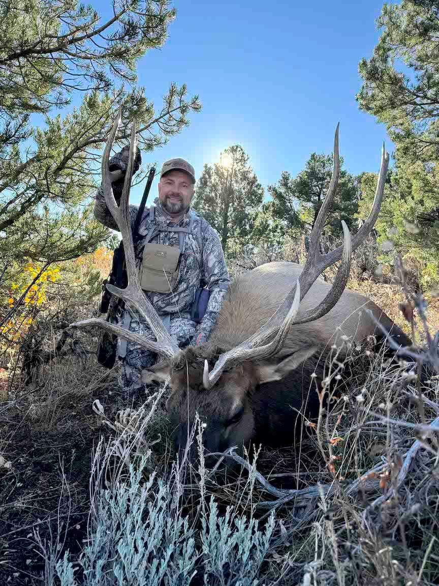 A hunter in camouflage poses with a harvested elk in a wooded area.