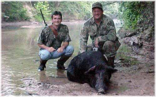 Two hunters pose with a harvested wild boar in a shallow stream.