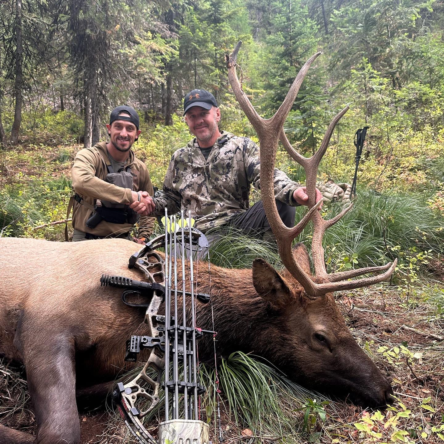 Two hunters shake hands next to a harvested elk and a bow in a forest.
