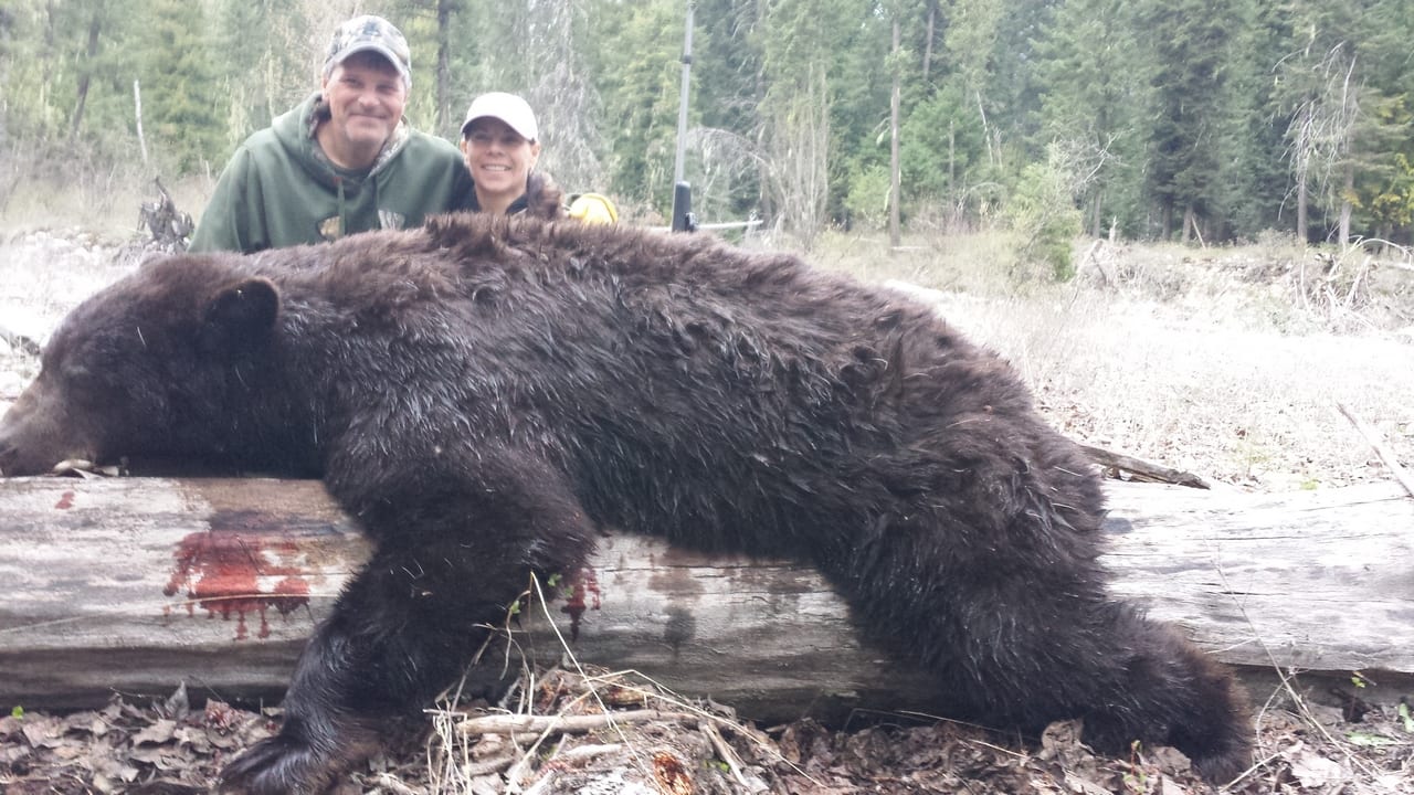 Two hunters pose with a harvested black bear on a log in a forest.