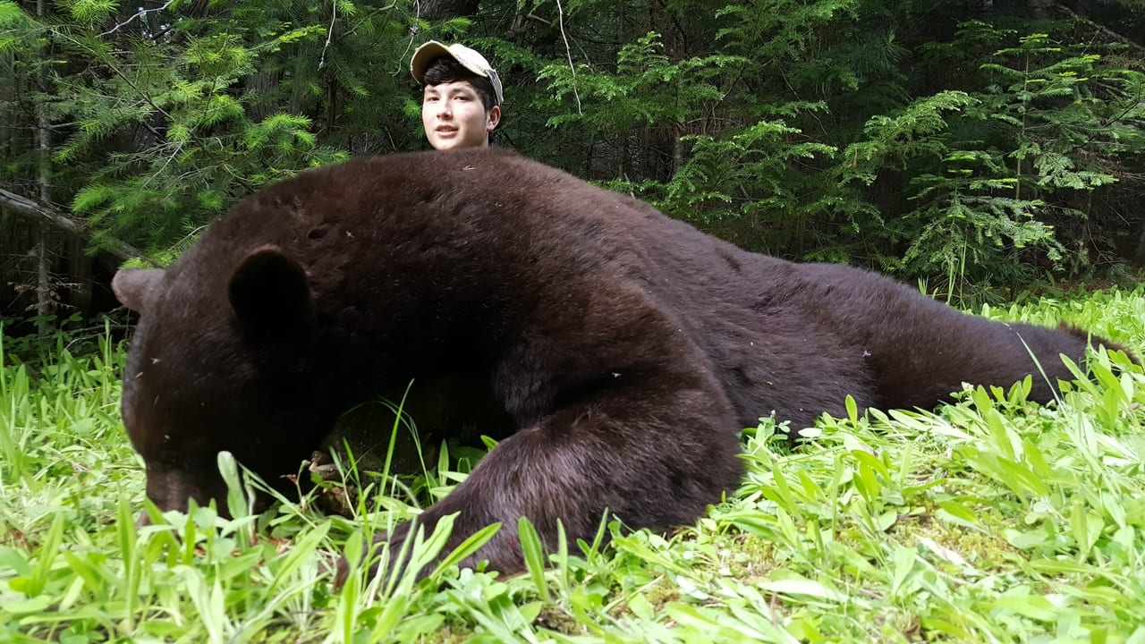 A hunter poses with a harvested black bear in a grassy, forested area.