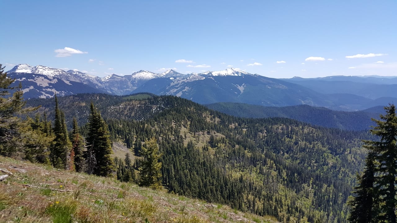 A panoramic view of forested mountains with snow-capped peaks under a clear blue sky.