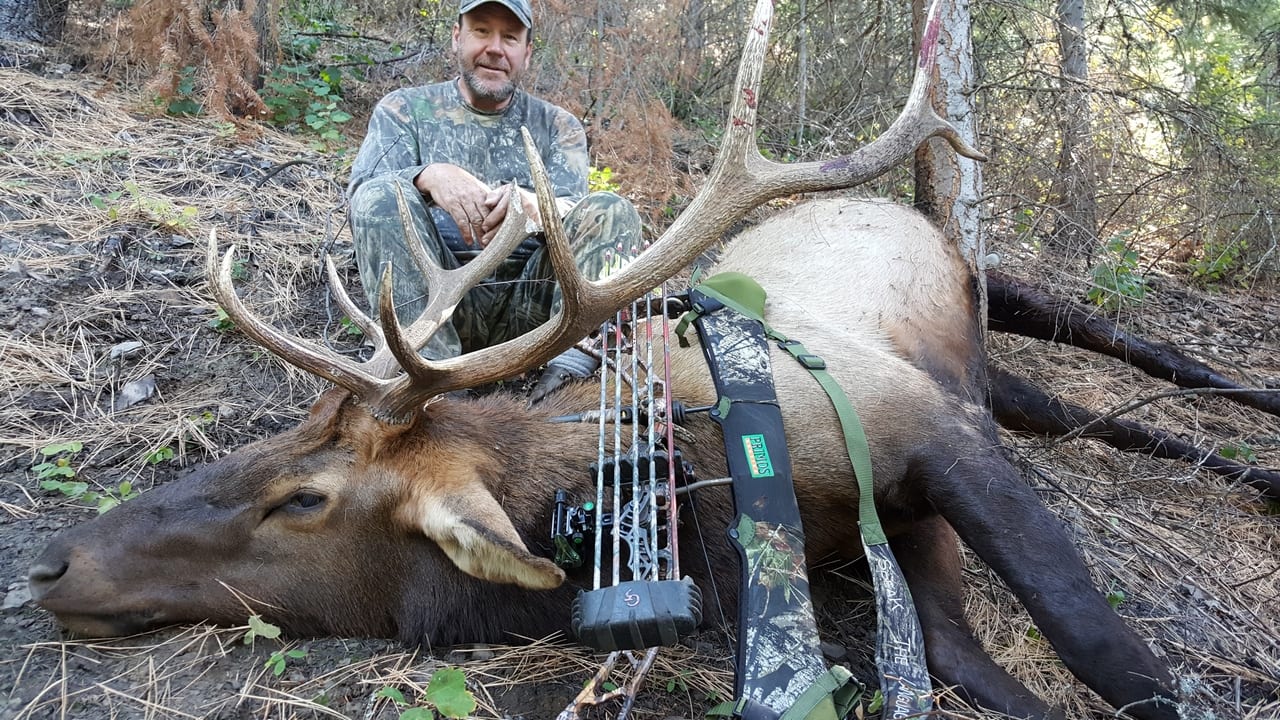 A hunter in camouflage sits behind a harvested elk with large antlers in a forest.
