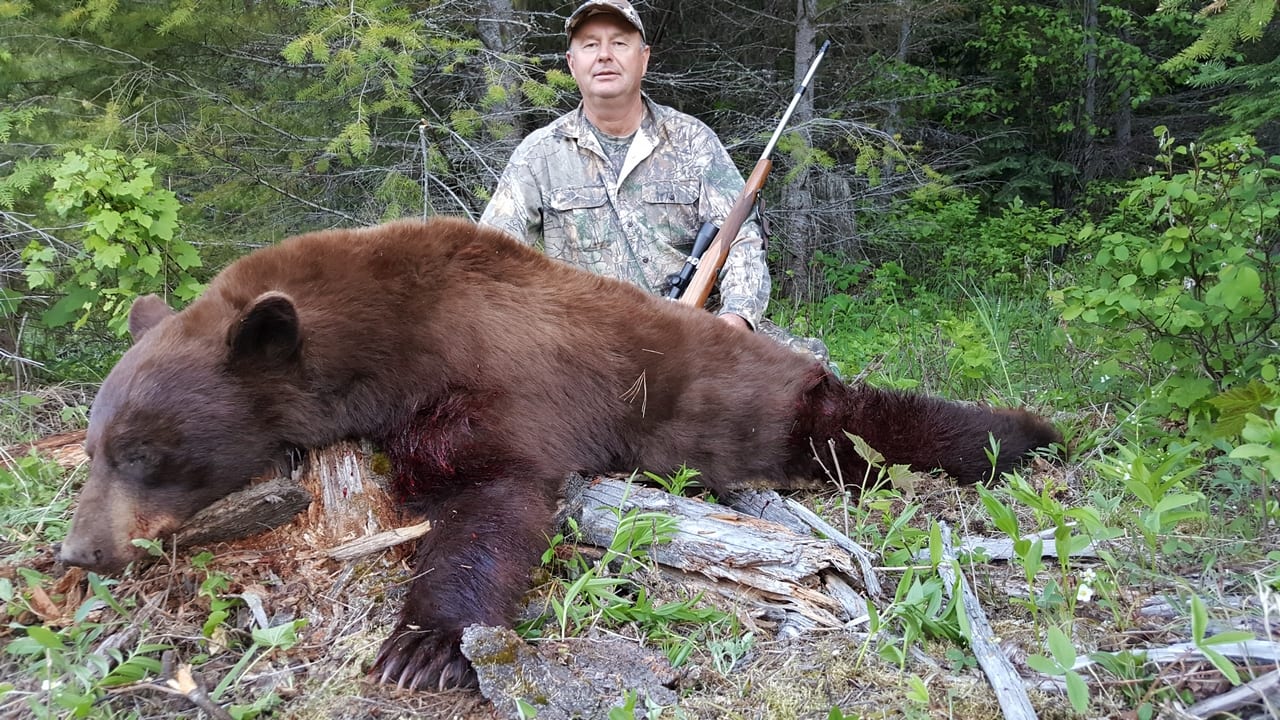 A hunter poses with a harvested black bear in a forest.
