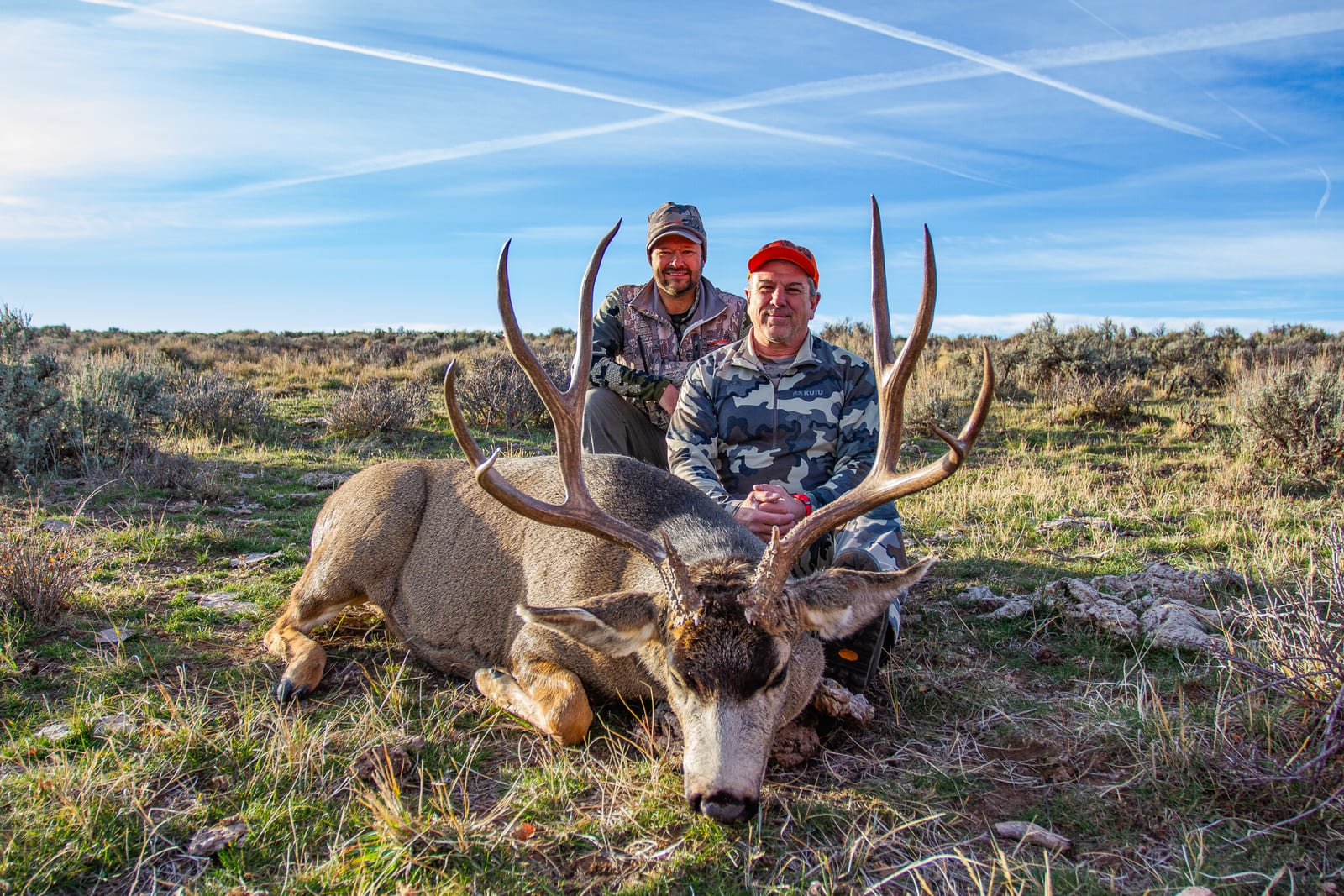 Colorado Trophy Mule Deer hunting with West Elk Outfitters