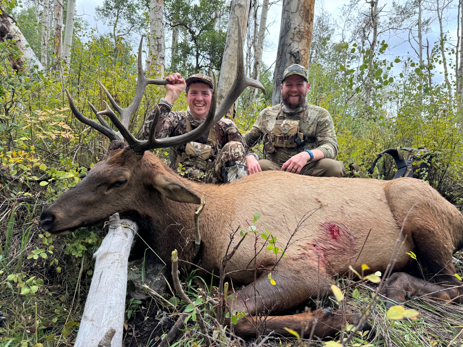 Booking 2026 Hunts for elk and mule deer with West Elk Outfitters