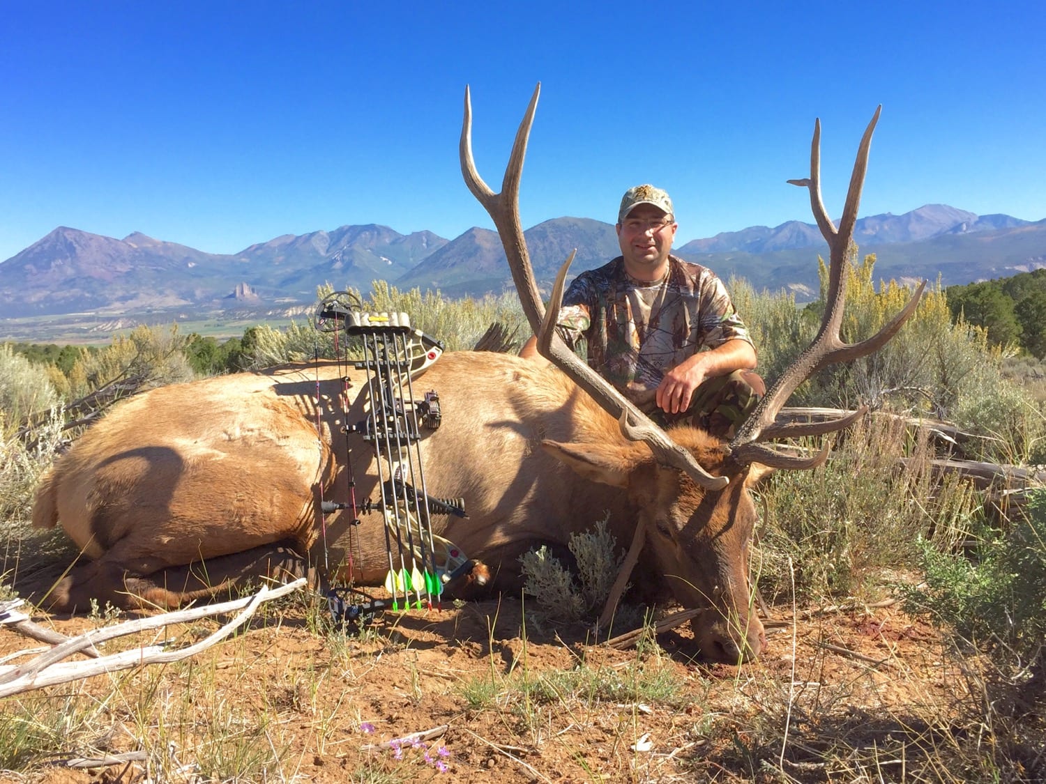 September Archery Guided Elk Hunts Available in Colorado