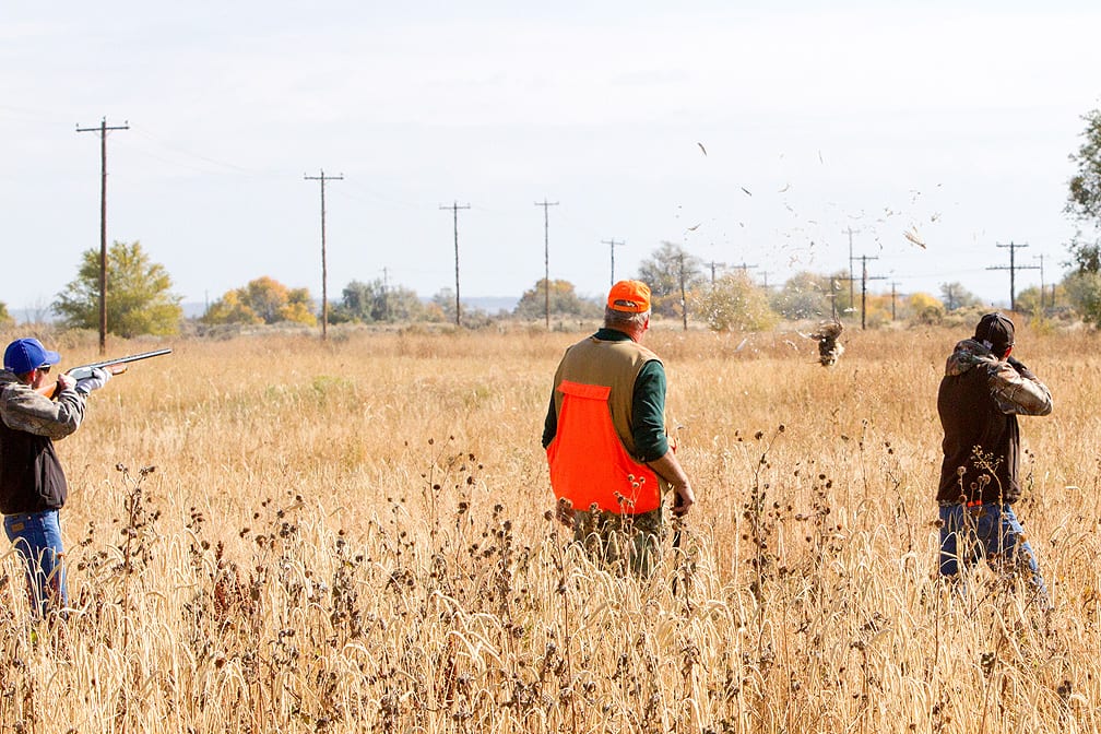 Three hunters are in a dry, grassy field, with one hunter firing a shotgun.