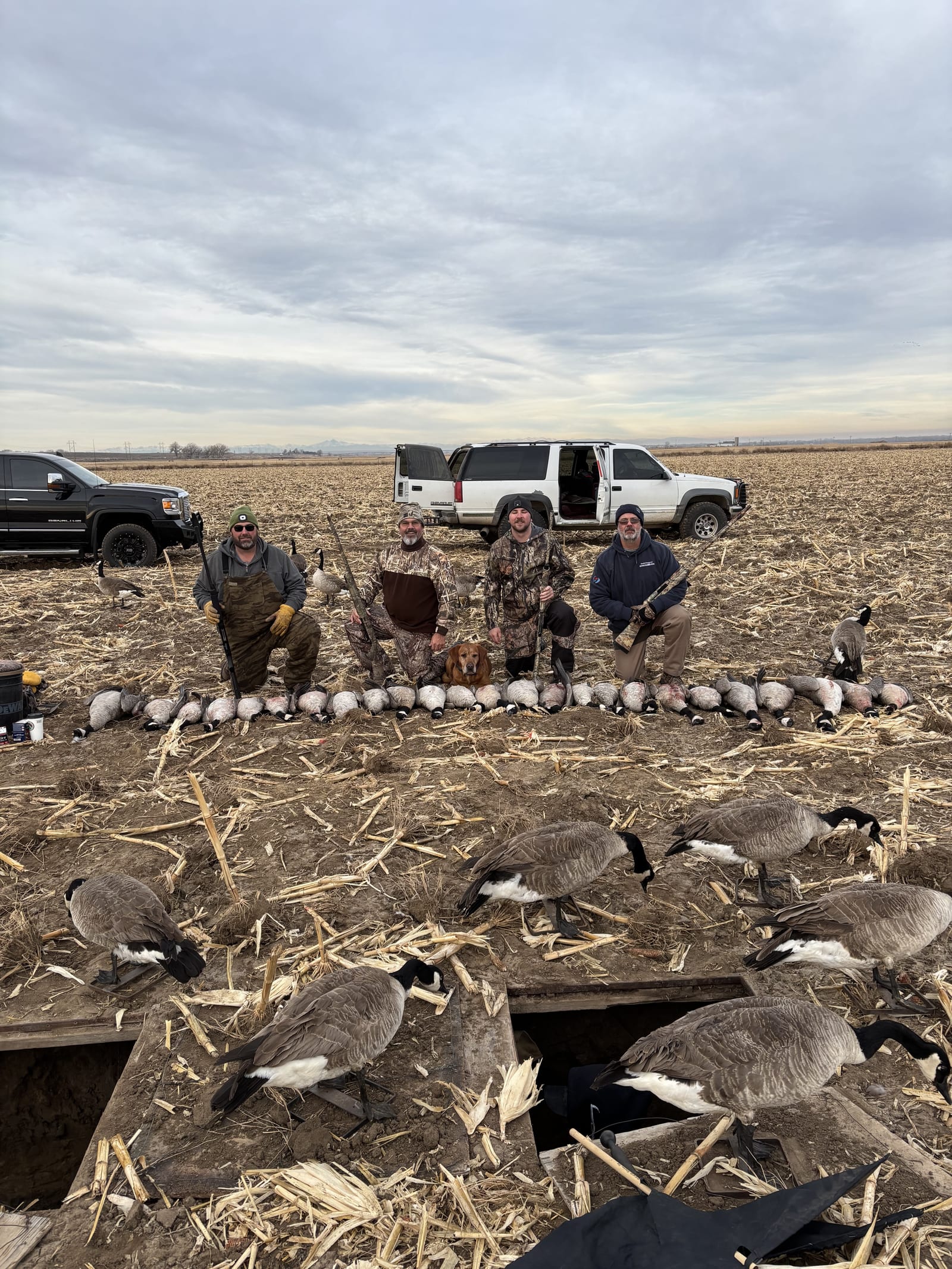 Hunters and a dog pose with a large harvest of Canada Geese in a field.