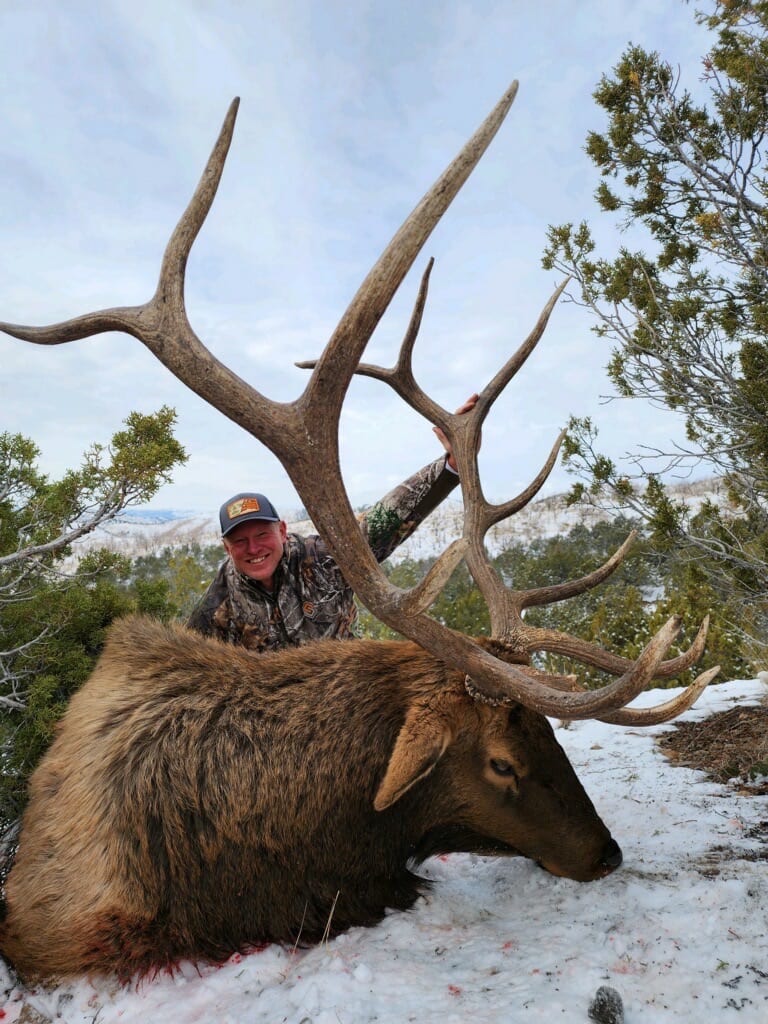 A hunter poses with a large harvested elk in a snowy, wooded area.