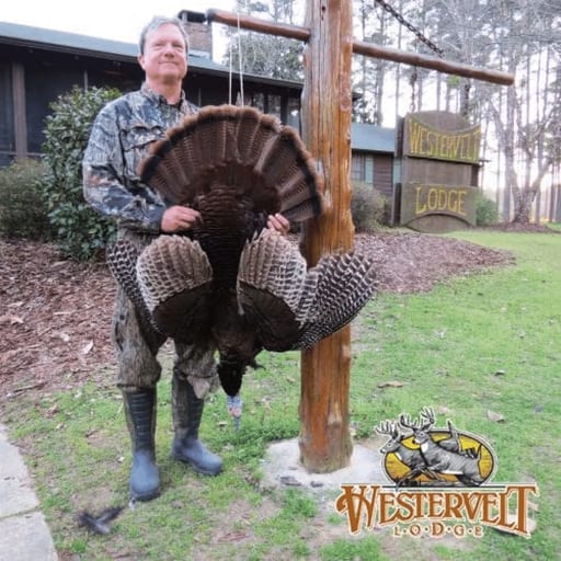 gallery-turkey-trophy-1