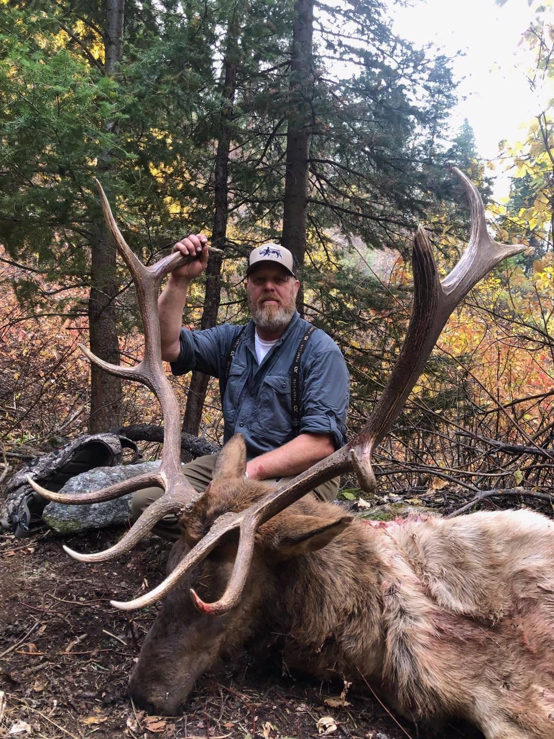A hunter poses with a harvested elk in a wooded area.