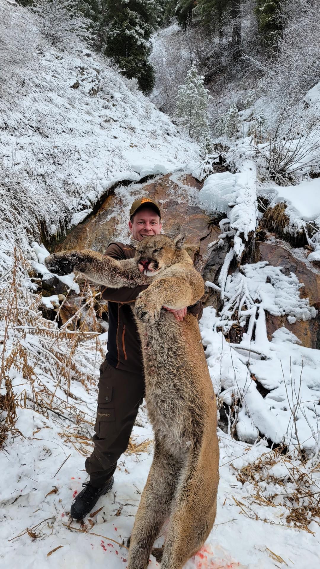 A hunter poses with a harvested mountain lion in a snowy, mountainous landscape.