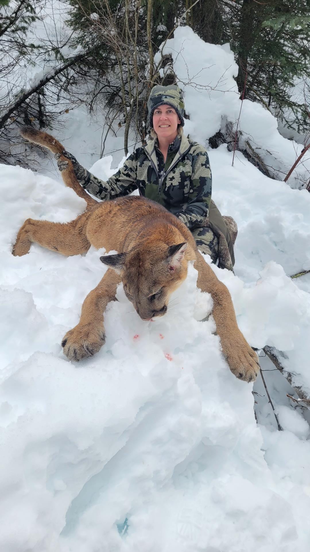 A hunter poses with a harvested mountain lion in the snow.