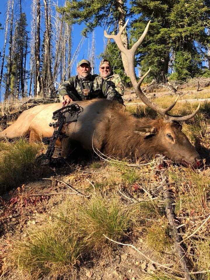 Two hunters pose with a harvested elk in a forest setting.