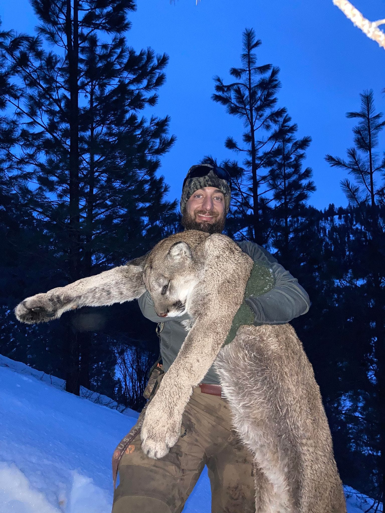 A hunter poses with a harvested mountain lion in a snowy, forested area at dusk.