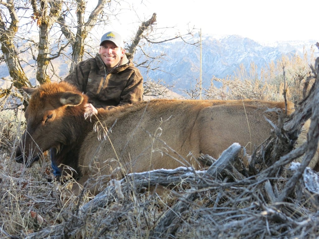 Cow Elk Hunt