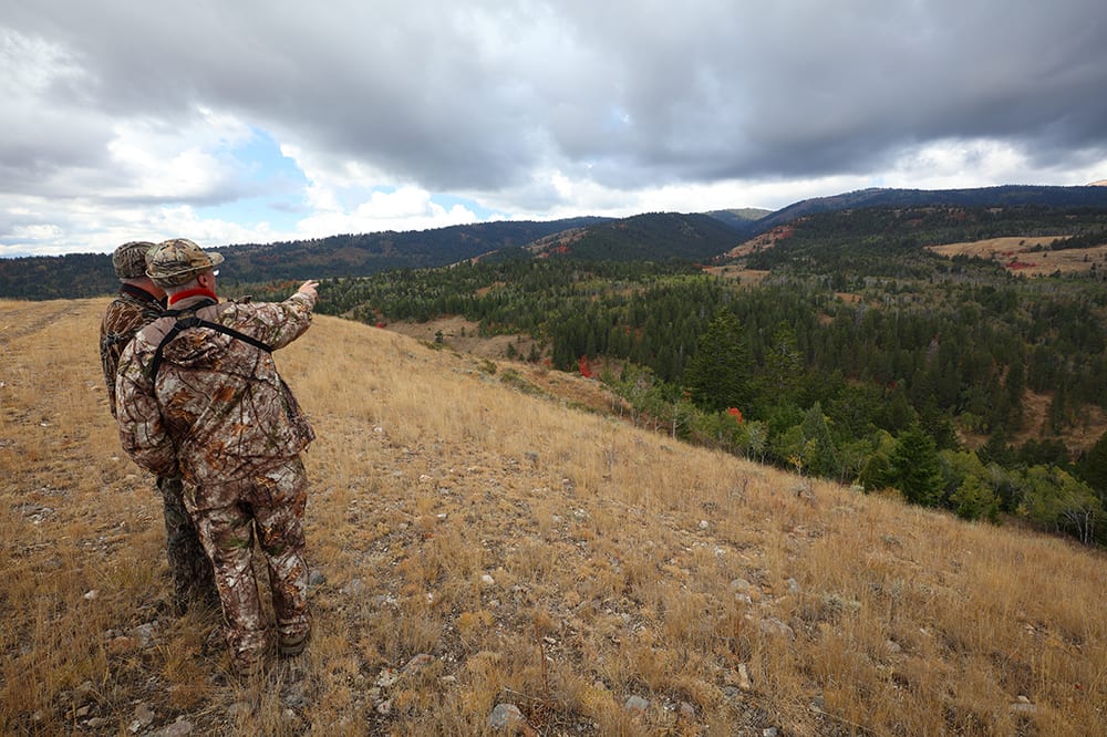 Bull Elk Hunting