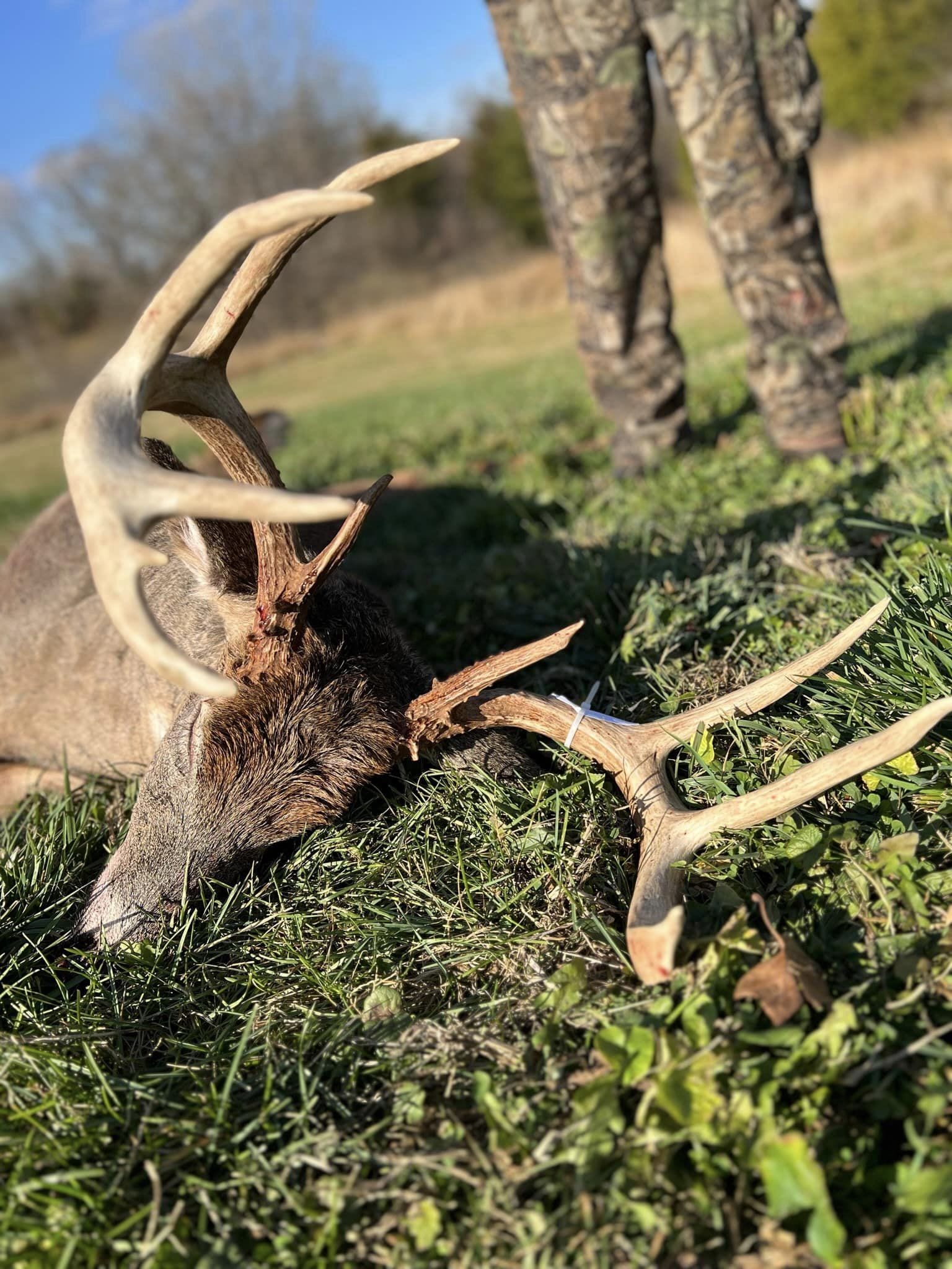 A hunter in camouflage lies in the grass next to a harvested buck.