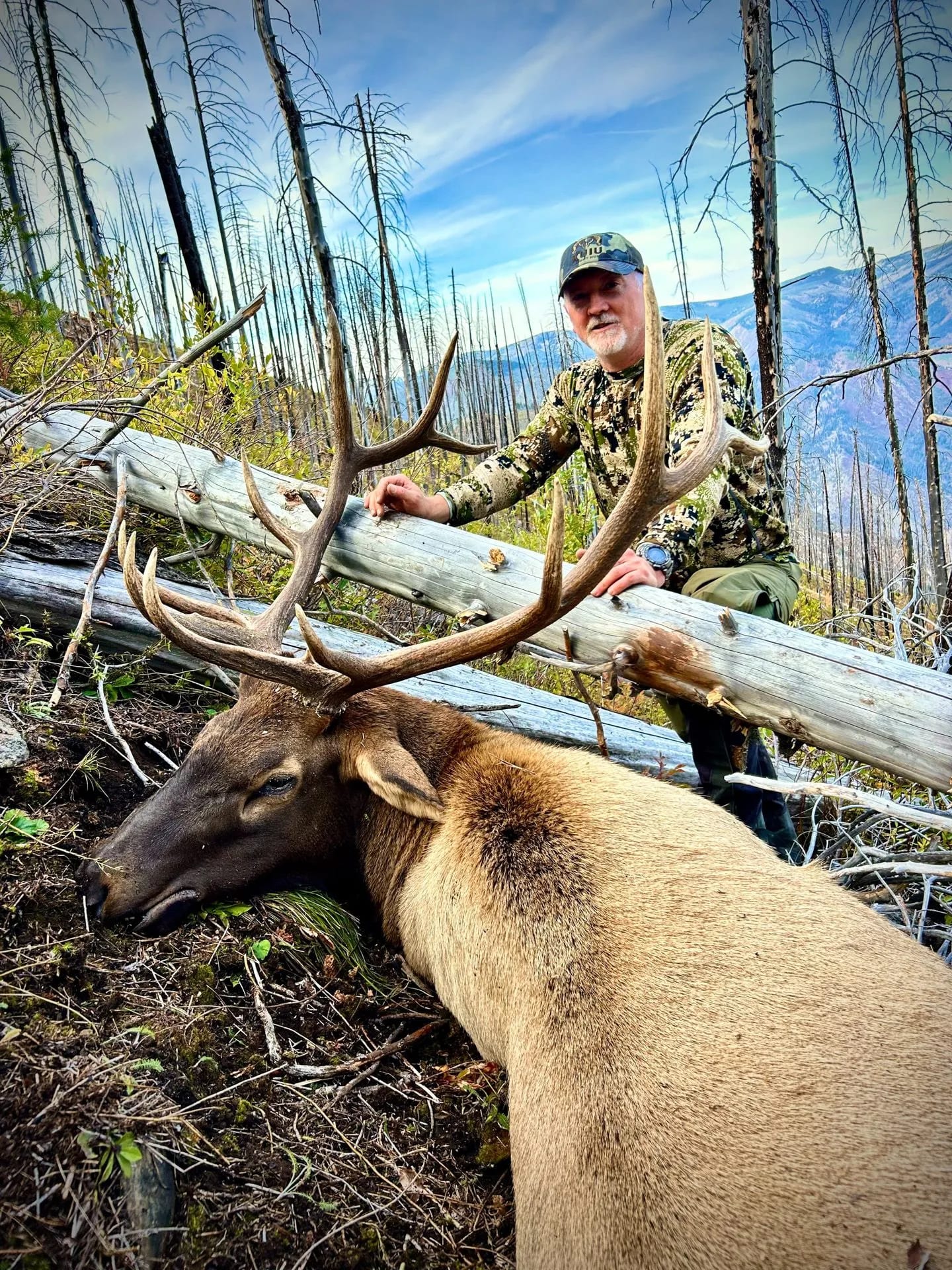A hunter poses with a harvested elk in a forest.