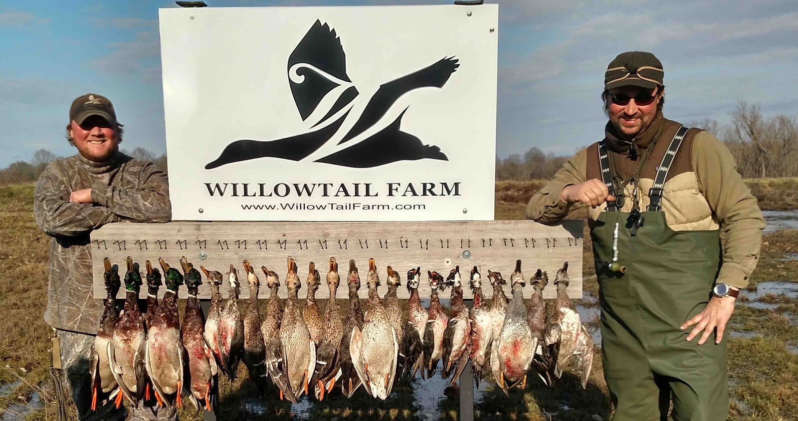 Two hunters pose with a large harvest of ducks, including Mallards, Green-winged Teal, and Gadwall, in front of a Willowtail Farm sign.