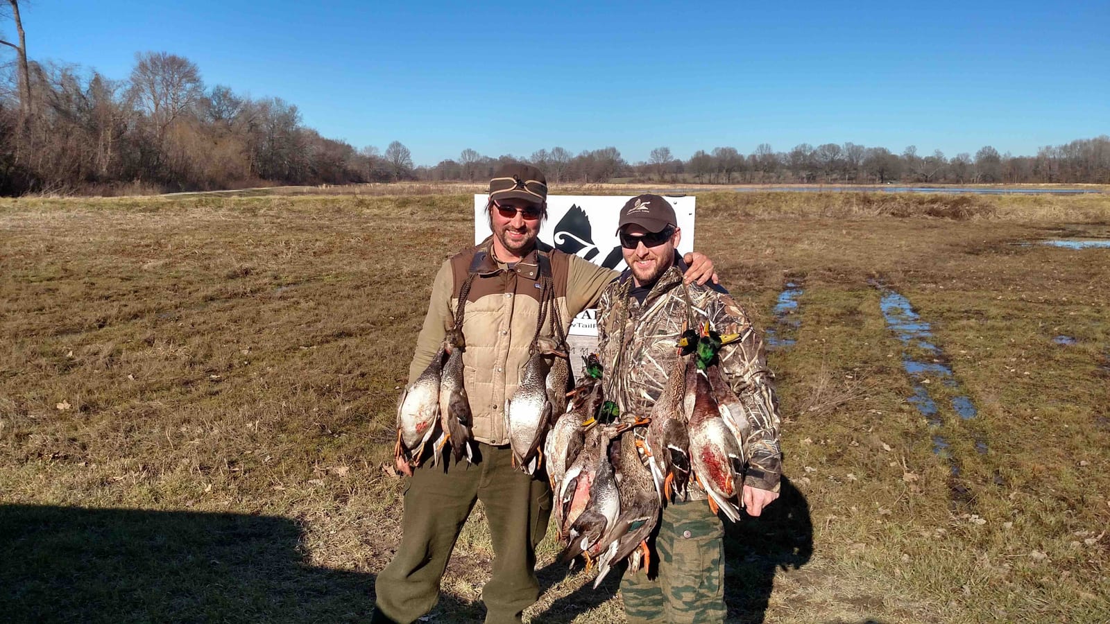 Two hunters pose with their harvested ducks, including mallards, in a field.