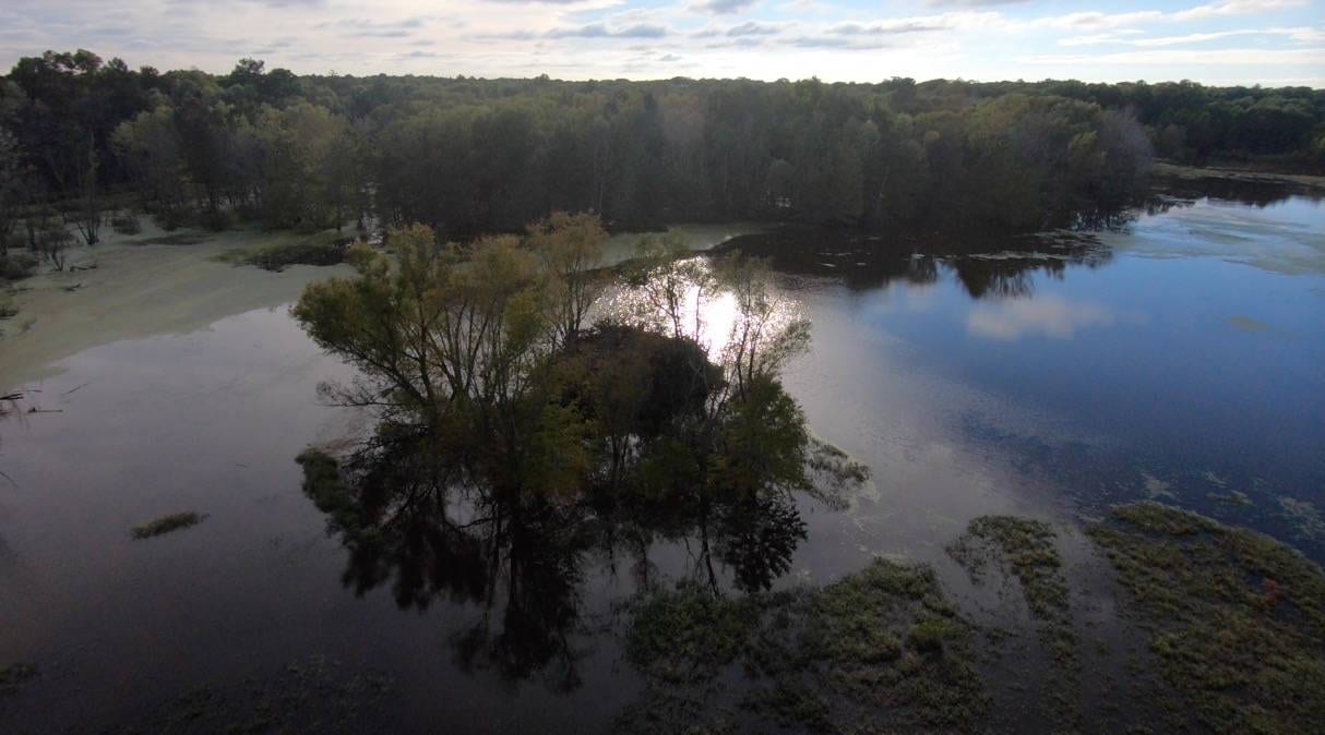 An aerial view of a swampy lake with trees and reflections under a partly cloudy sky.
