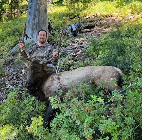 A hunter poses with a harvested elk in a forest.