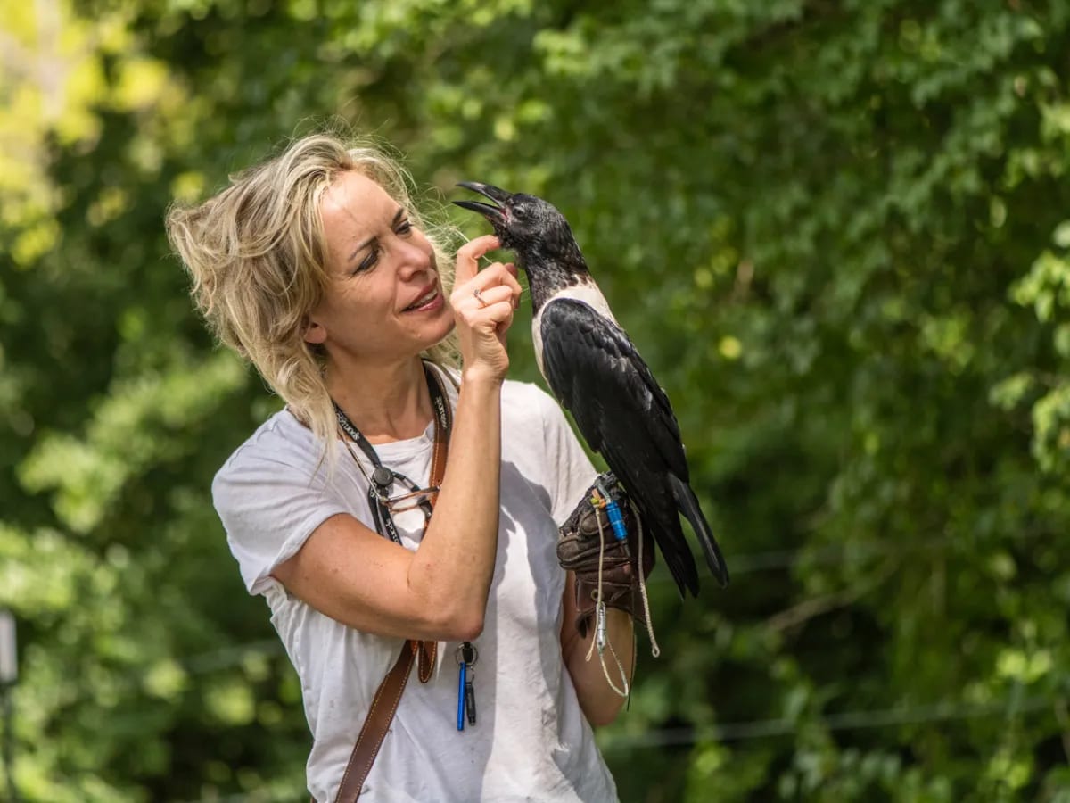 a person holding a bird