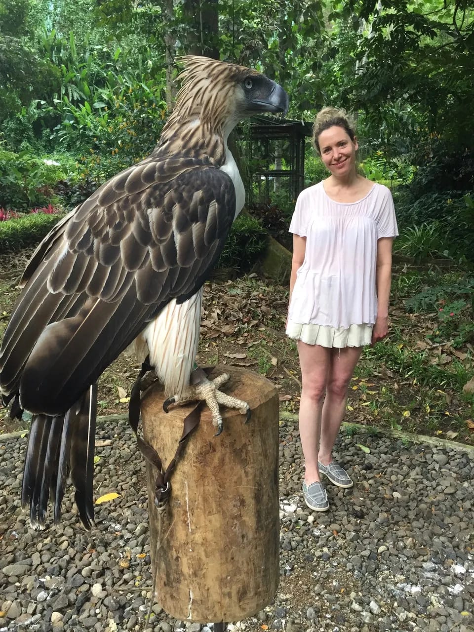 a bird standing in front of a woman