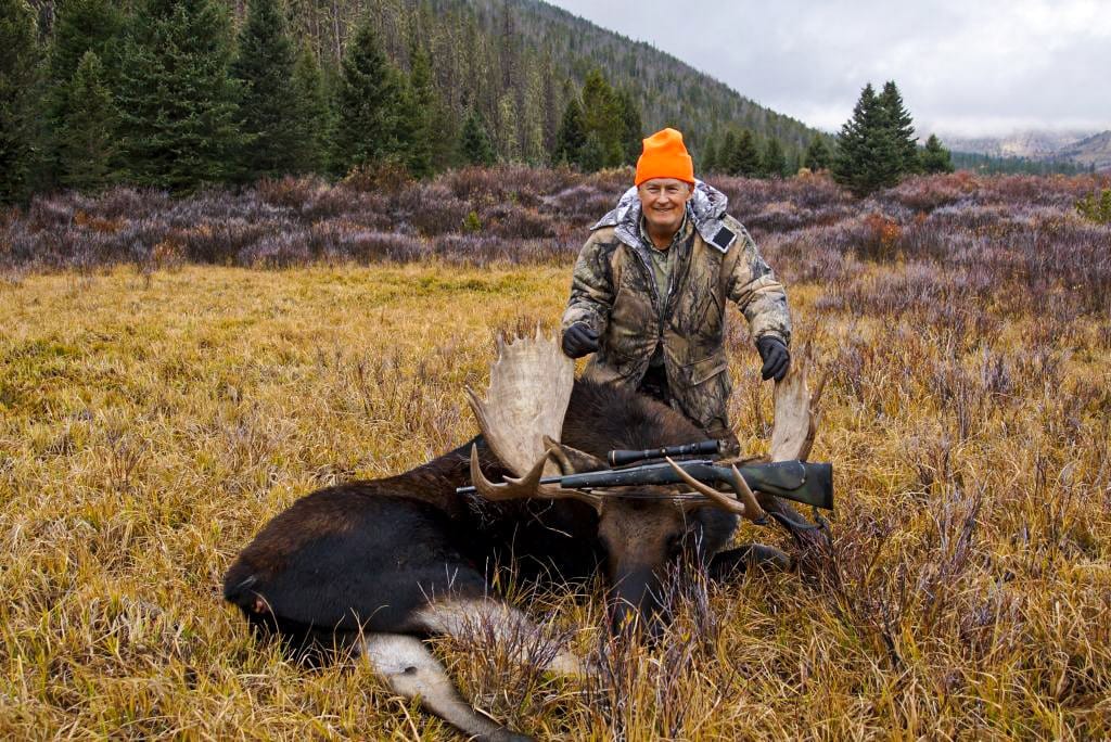 A hunter in an orange hat poses with a harvested moose in a field.