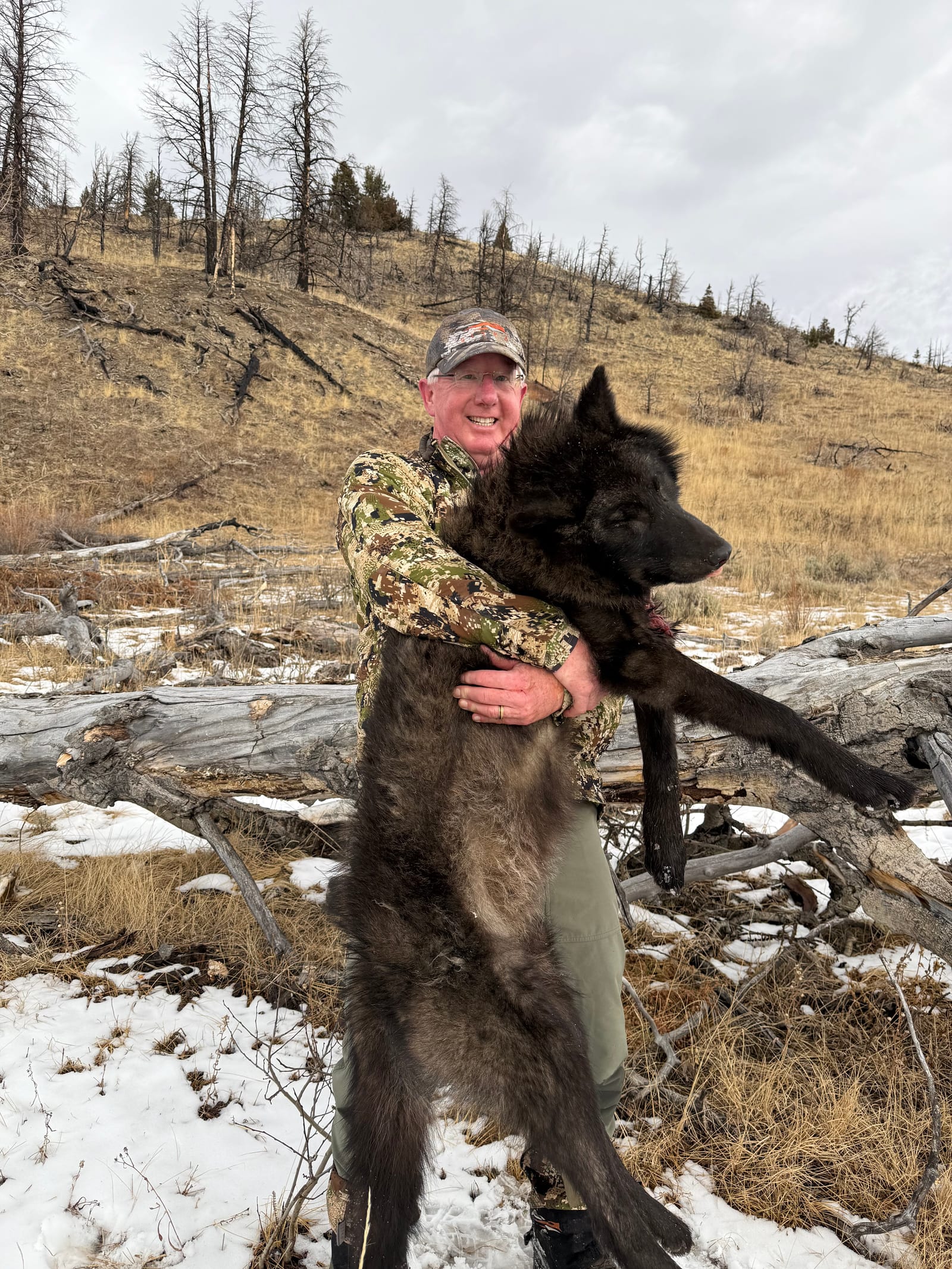 A hunter poses with a harvested gray wolf in a snowy, hilly landscape.