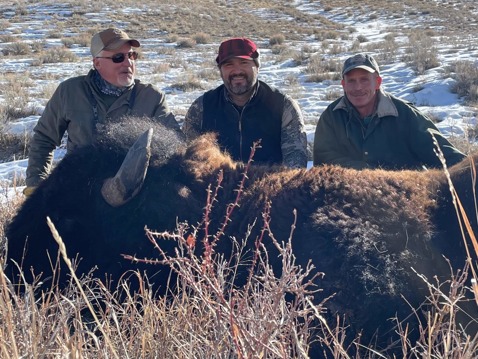 Three men pose with a harvested bison in a snowy, brushy field.