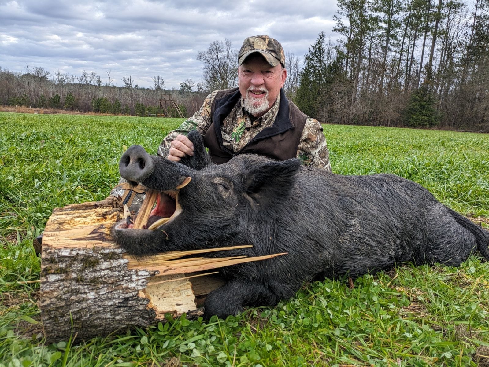 A hunter poses with a harvested wild boar in a grassy field.