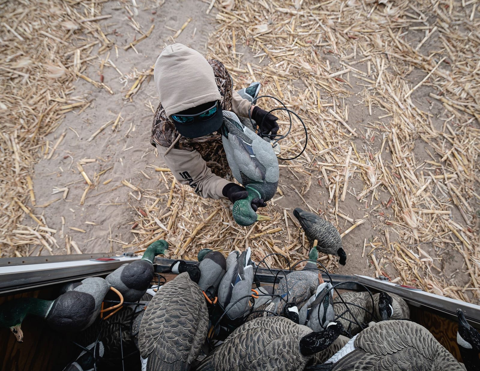 A person handles hunting decoys in a field.