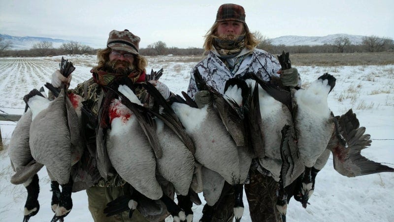 Two hunters pose in a snowy field with a large harvest of Canada geese.
