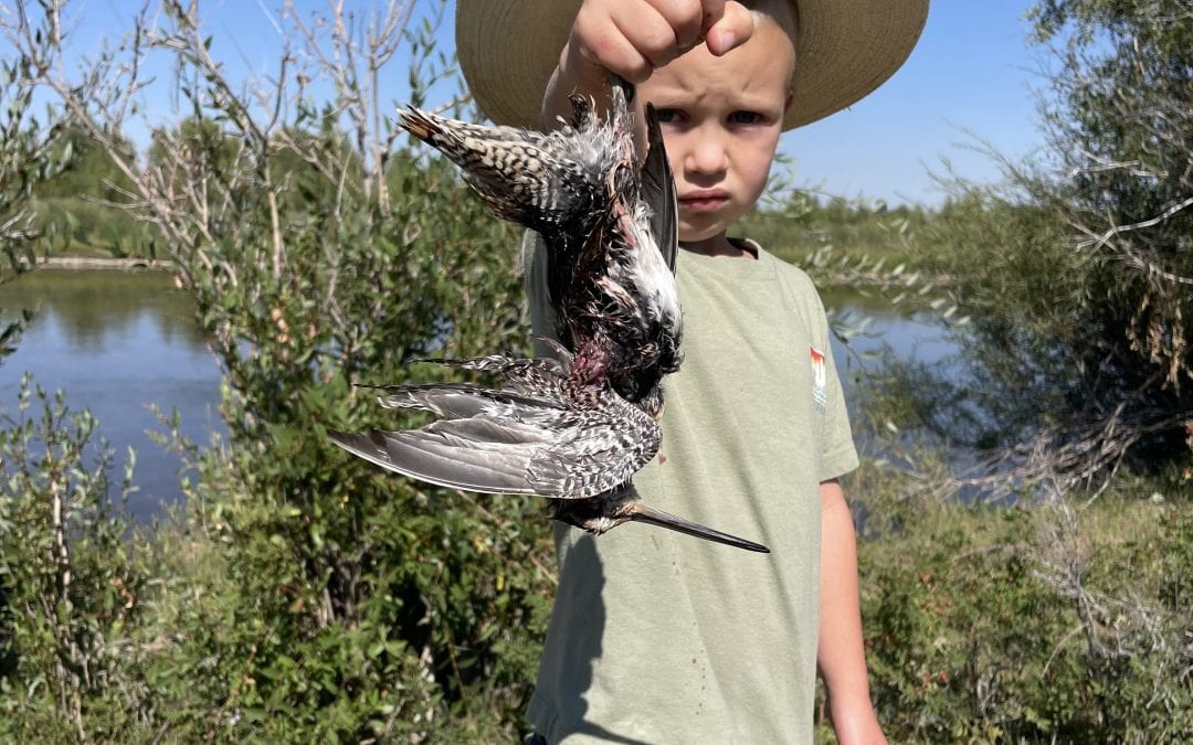 Bird Season is Upon us!