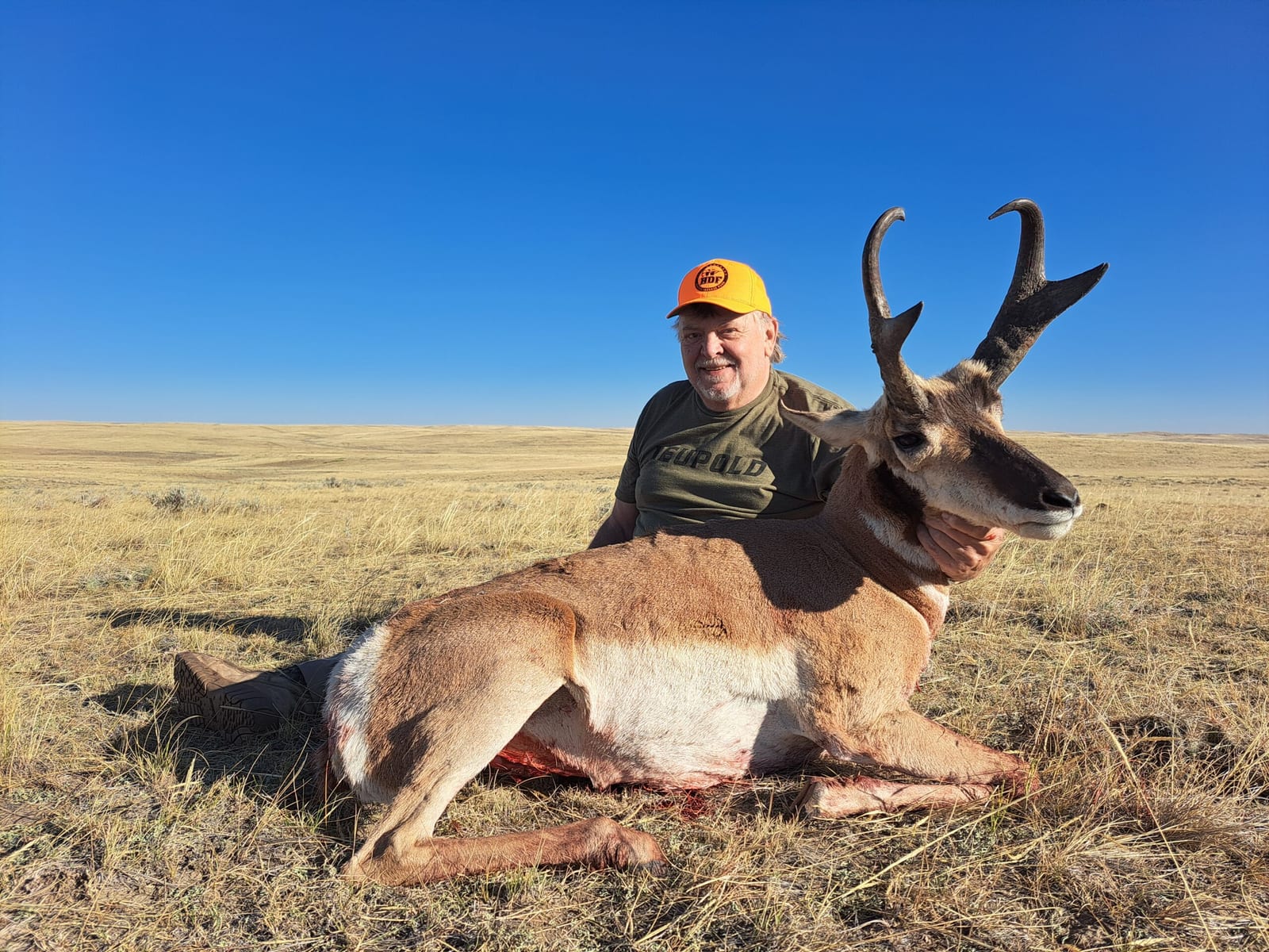 A hunter poses with a harvested pronghorn in a grassy field under a clear blue sky.