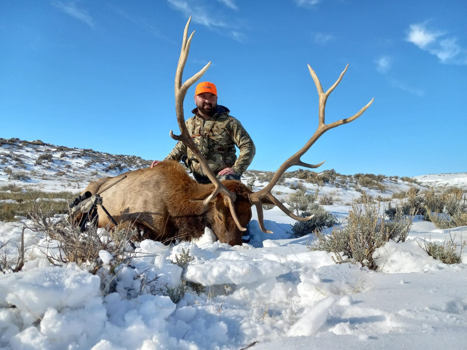 A hunter poses with a harvested elk in a snowy, mountainous landscape under a clear blue sky.