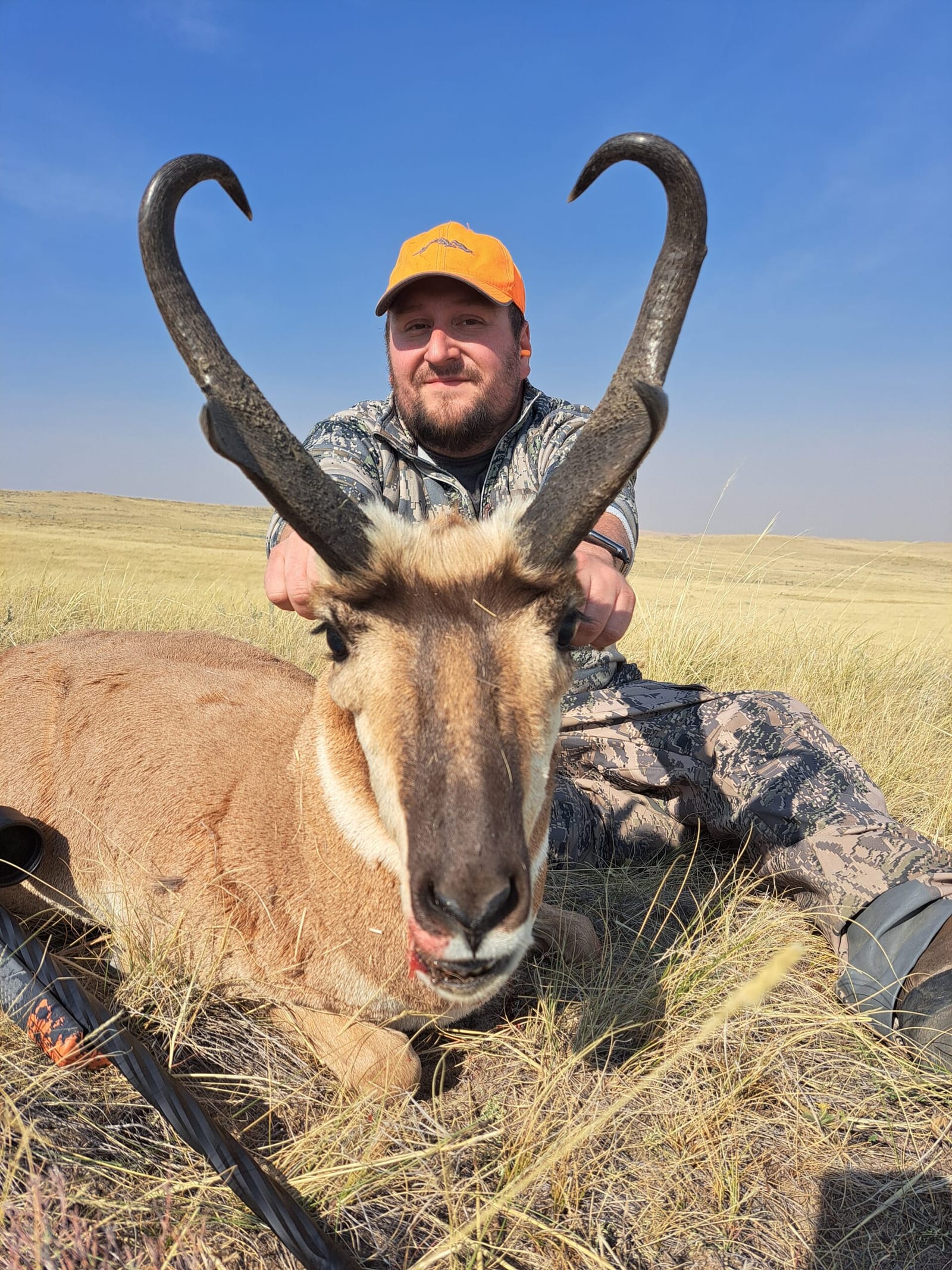 A hunter in an orange hat poses with a harvested pronghorn in a grassy field under a blue sky.