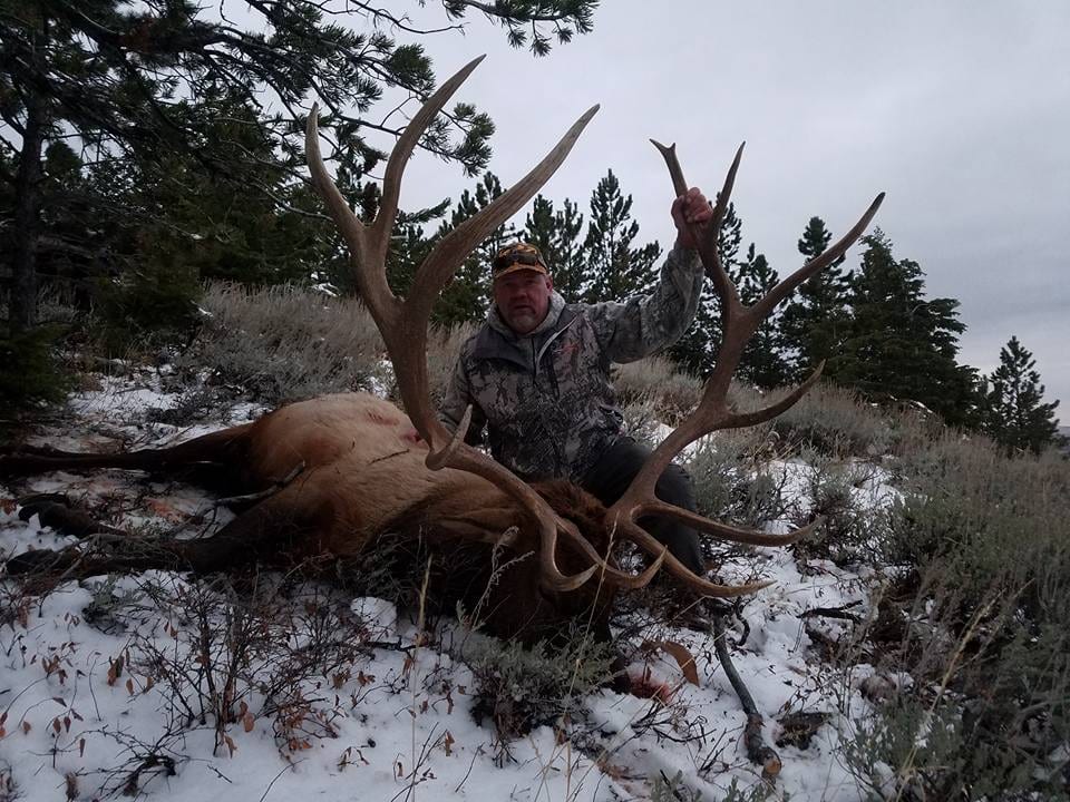 A hunter in camouflage poses with a harvested elk in a snowy, wooded landscape.