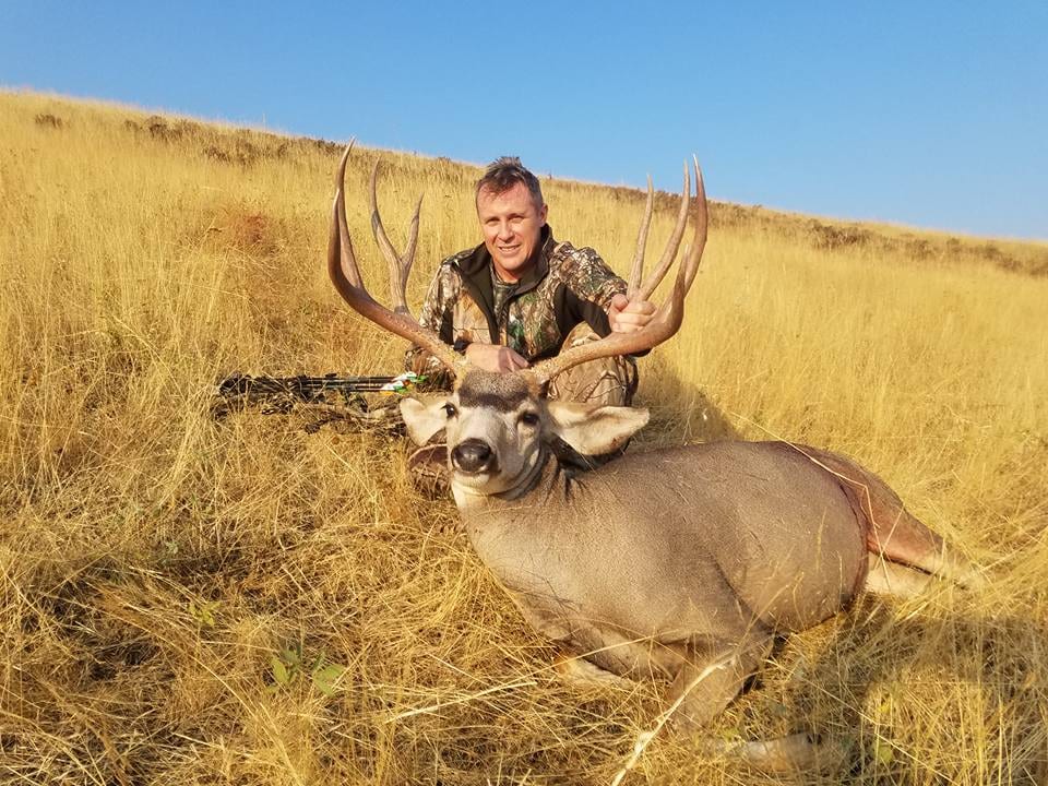 A hunter poses with a harvested mule deer in a grassy field under a clear blue sky.