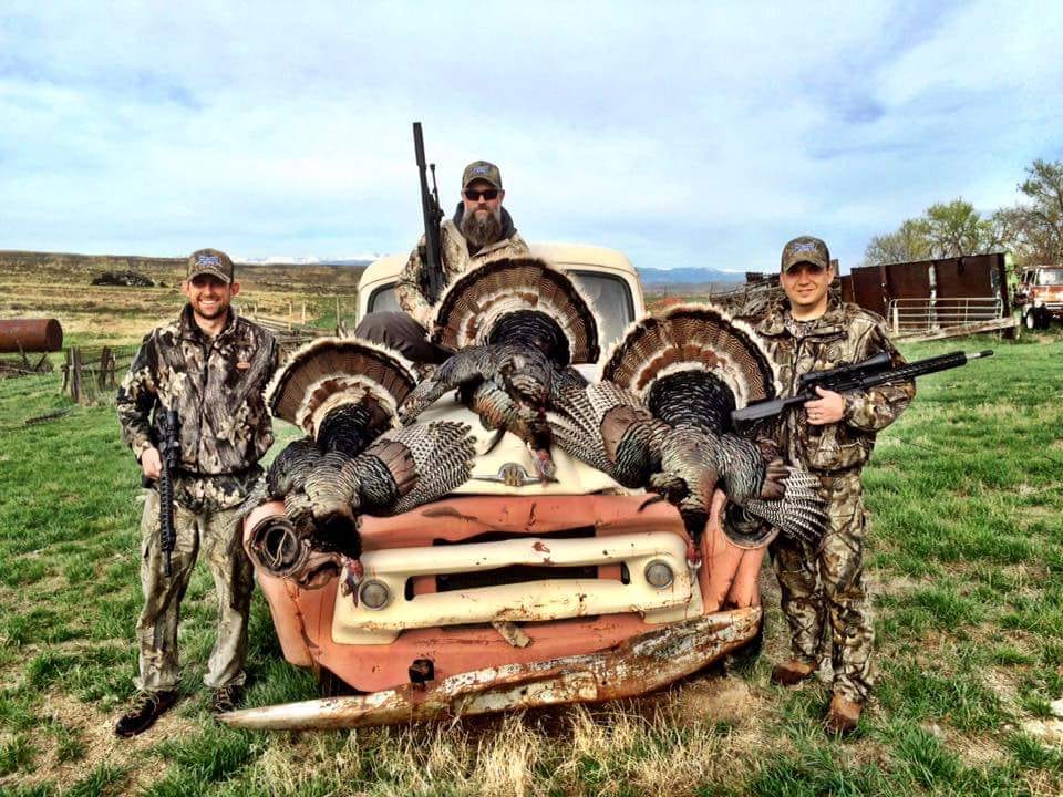 Three hunters pose with several harvested wild turkeys on the front of an old truck.
