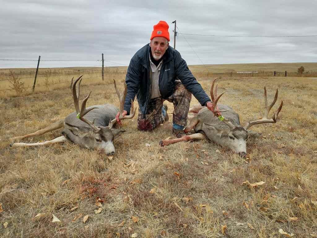 A hunter kneels between two harvested mule deer in a grassy field.