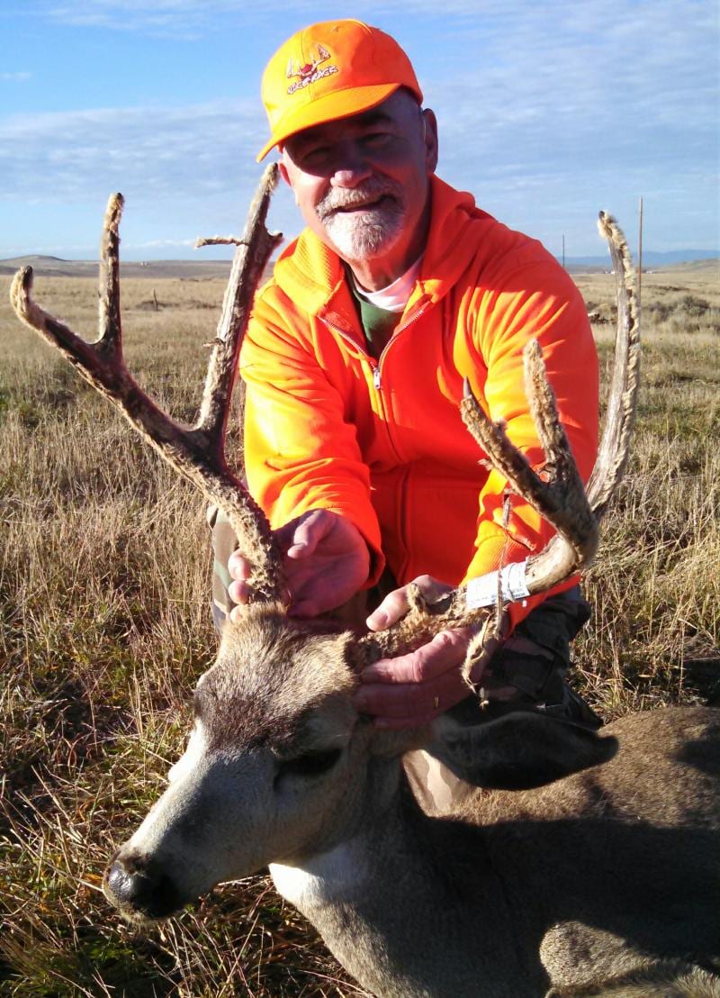 A hunter in an orange hat and jacket poses with a harvested mule deer in a grassy field.